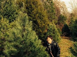 Macey's Christmas Tree Farm