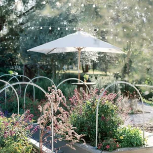 Garden. Photo Credit Stephanie Lanni Photography