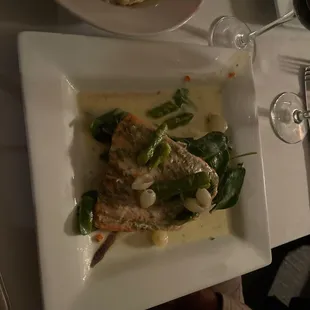 Salmon