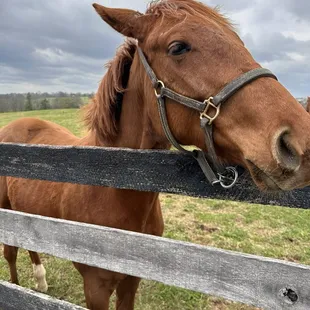 The best place on Earth