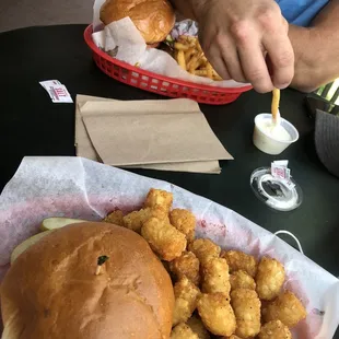 Bison Burgers