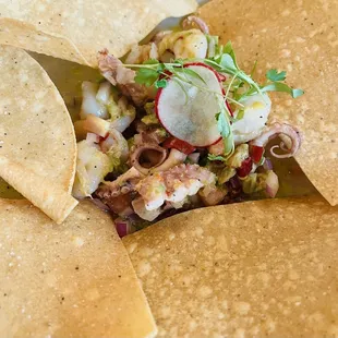 Ceviche