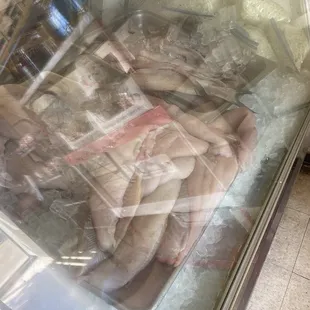 Sorry about the glare