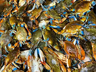 Viet Hoa Food Market