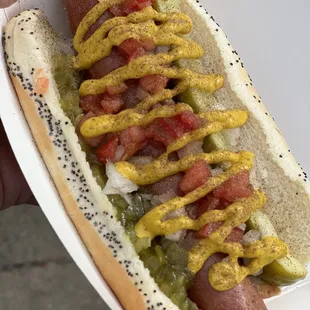 Chicago Dog