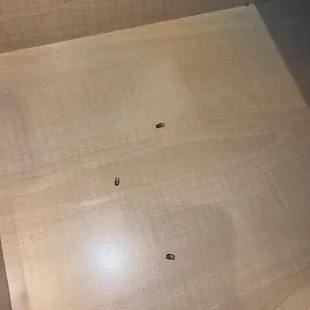 Roach eggs in cabinet