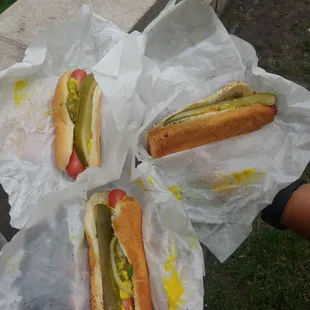 hot dog, sandwich, hot dogs, food