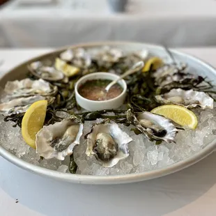 Miyagi oysters. Don't for get to ask for the shredded horseradish.