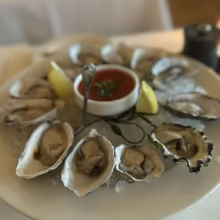 Oysters