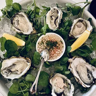 Humboldt Bay Oysters