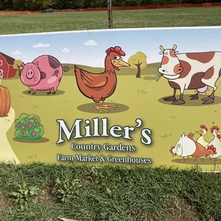 farm animals and pumpkins