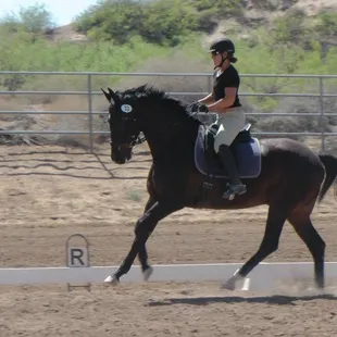 Dressage &amp; Hunter Jumper Horse Shows at Miller Horse Farm &amp; Riding Academy