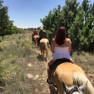 On the return trip you will ride along canals and through trees and fields.