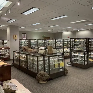 Museum of Geosciences (3rd floor)