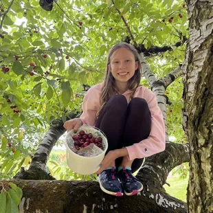 Got 7 lbs of cherries