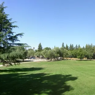 6 vertical photo P A N O R A M A of Miller Park