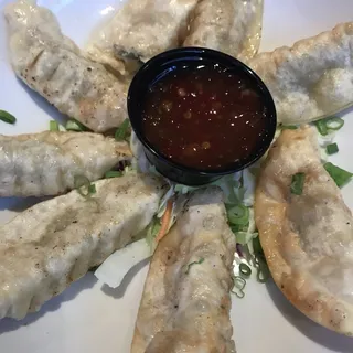 FRIED POTSTICKERS