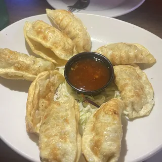 FRIED POTSTICKERS