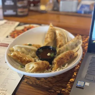 FRIED POTSTICKERS