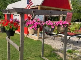 Henrietta Co-Op And Pantry