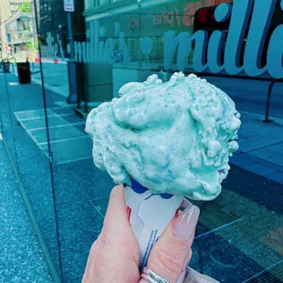 Mint Chip non-dairy