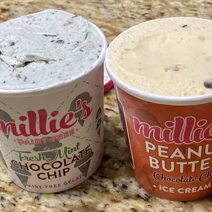 Pints of Mint Chip Dairy-Free Gelato and Peanut Butter Chocolate Chip