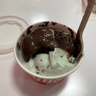 Double scoop, mint chocolate chip, df brownie