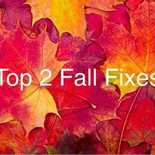 top 2 fall fixes