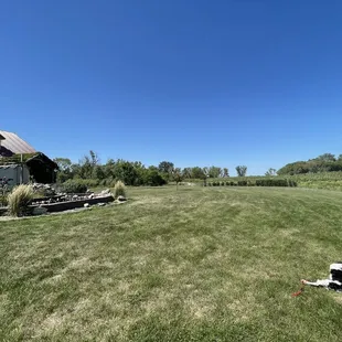Dog friendly winery! open grass area, we threw a frisbee around