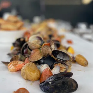 New England Clam Bake