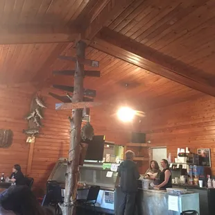 Excellent!! Ten of ordered all different choices and all is hot and excellent!  Pull over and yumm out!