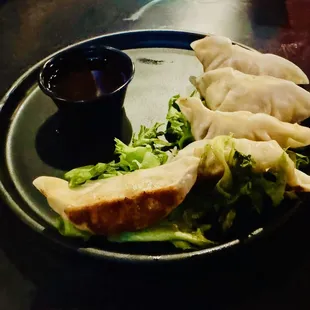 steamed potsticker with pan fried side