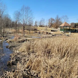 View of Natural play area from the boardwalk near the parking lot