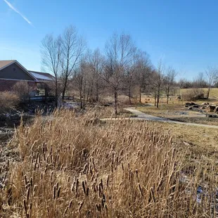 Natural Play Area