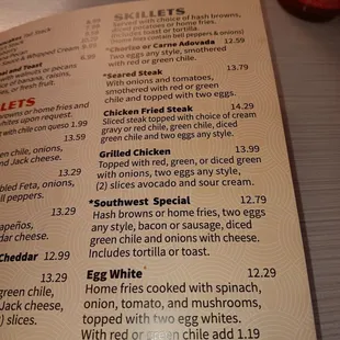 I got the SW special skillet