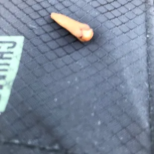 Weird mystery clove