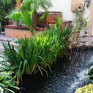 Courtyard at the bed in breakfast. Nothing better than waking up with coffee and sitting outside listening to the waterfall.