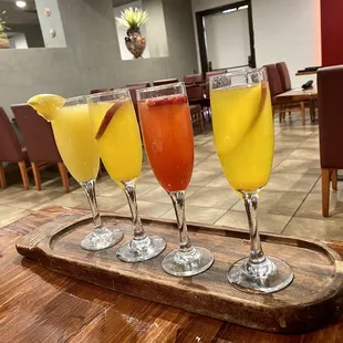 Mimosa flight