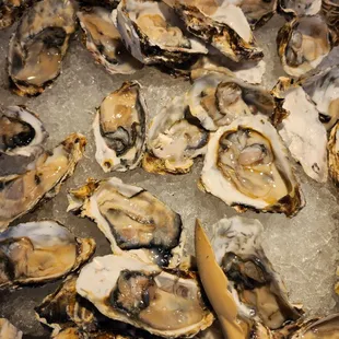 oysters, food, oysters and mussels, mussels, shellfish