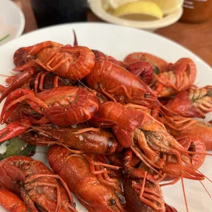 Crawfish