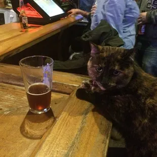 Pet friendly! Arlene enjoys this bar and the friendly bartenders