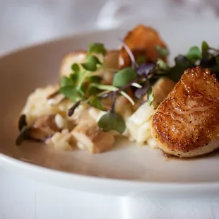 Diver scallops at Milwaukee ChopHouse