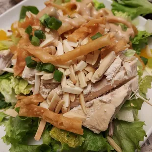 Small chicken oriental salad.