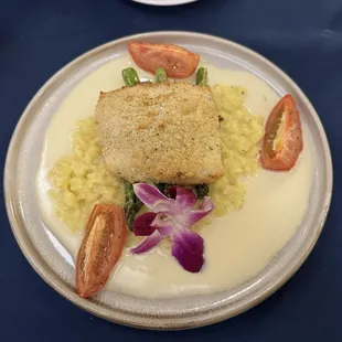 Striped bass with risotto and tomato