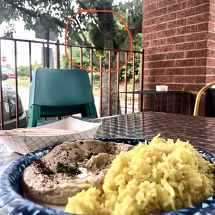 Willy, pita, hummus, rice
