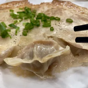 Pan Fried Dumplings