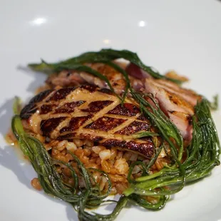 Foie gras