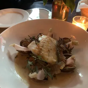 Turbot