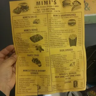 a hand holding a menu