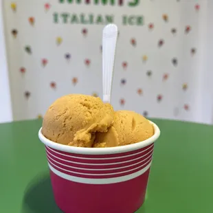 Homemade Dairy Free, Gluten Free, Vegan Ice Cream 

Pumpkin Spice